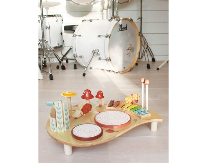 TENDER LEAF TOYS Table musicale - Ds 3 ans (1)