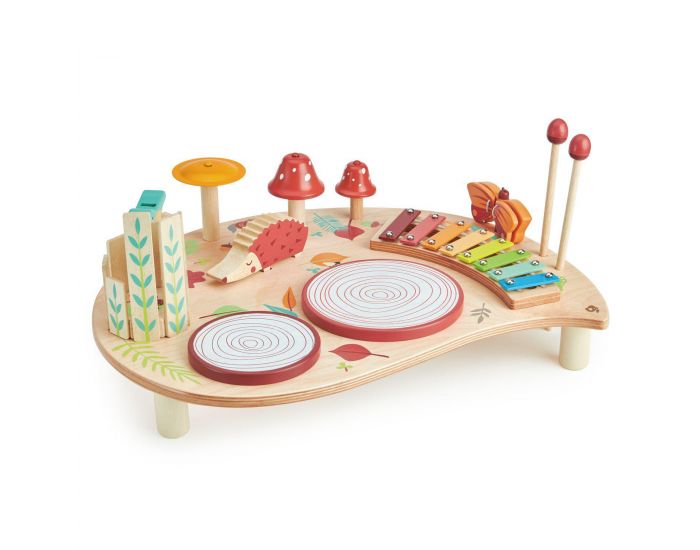 TENDER LEAF TOYS Table musicale - Ds 3 ans (2)