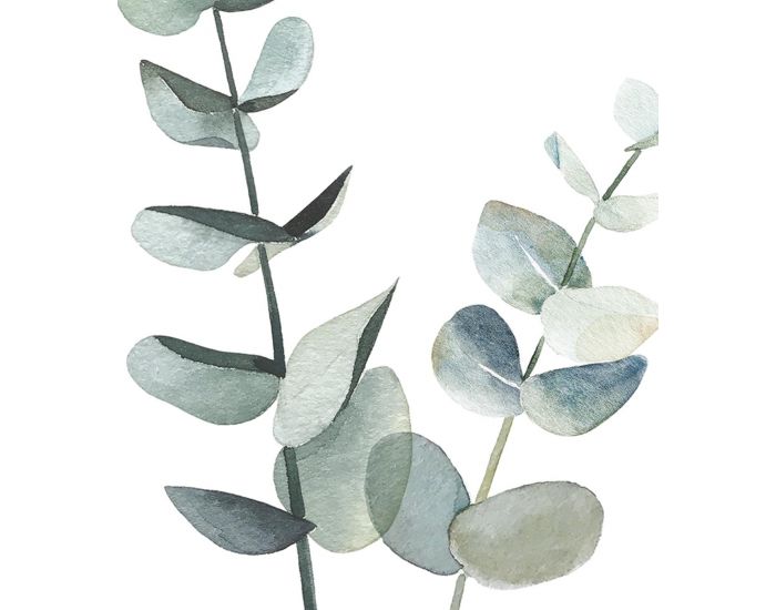 LILIPINSO Affiche Seule - Greenery - Tiges d'Eucalyptus  (1)