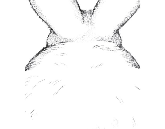 LILIPINSO Affiche Seule - Bunny - Lapin de Dos  (1)