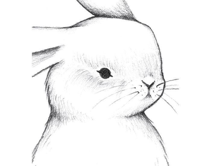 LILIPINSO Affiche Seule - Bunny - Lapin de Face  (1)