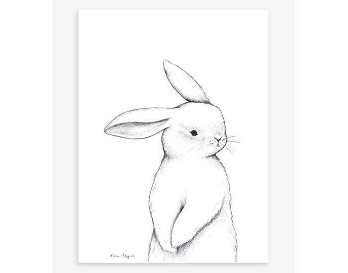 LILIPINSO Affiche Seule - Bunny - Lapin de Face  (6)