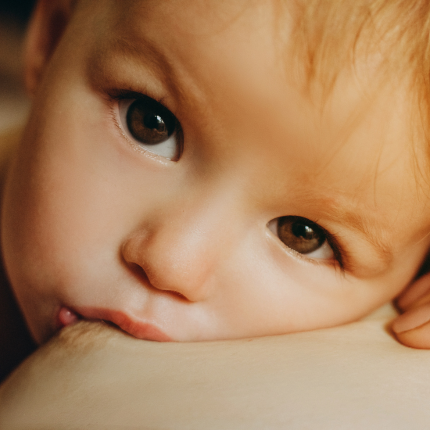 Les différentes positions d'allaitement