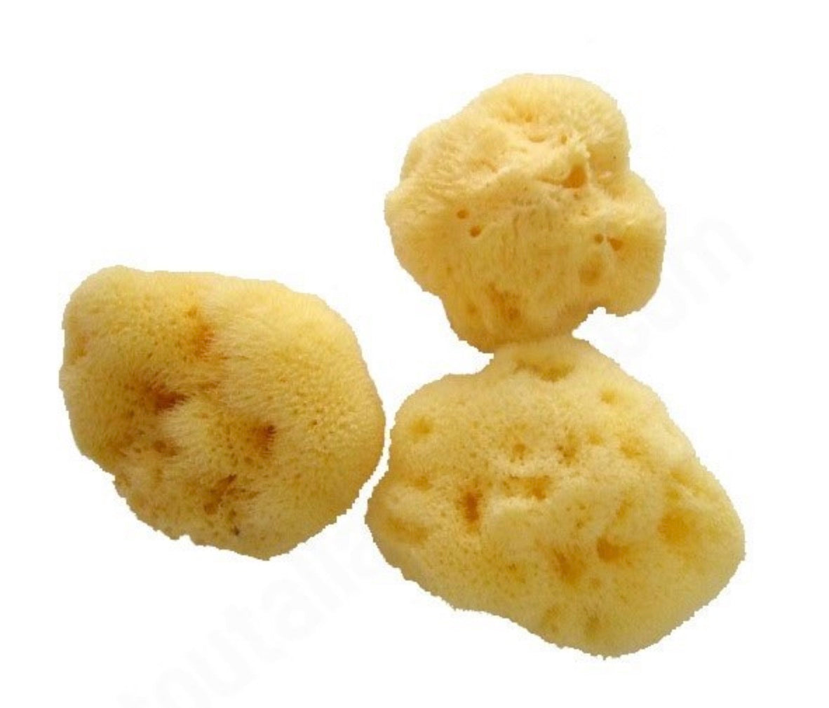 Lot de 3 Eponges Menstruelles Mensi - 6-7 cm