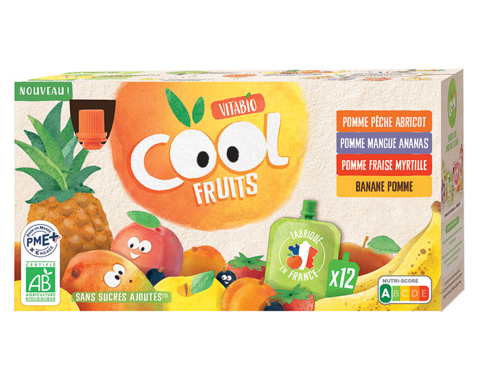 Pack Famille Cool Fruits Multi-parfums 4 recettes - 12 x 90 g