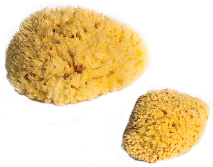Lot de 2 Éponges Naturelles
