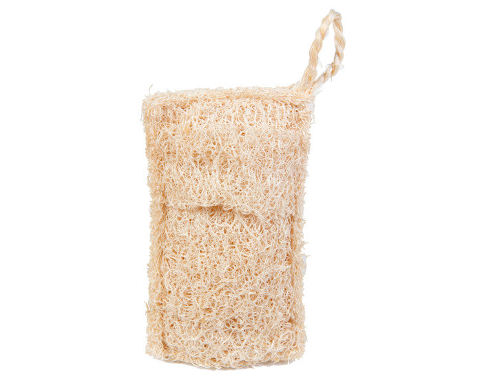 Éponge Vaisselle Luffa