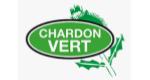 Chardon Vert