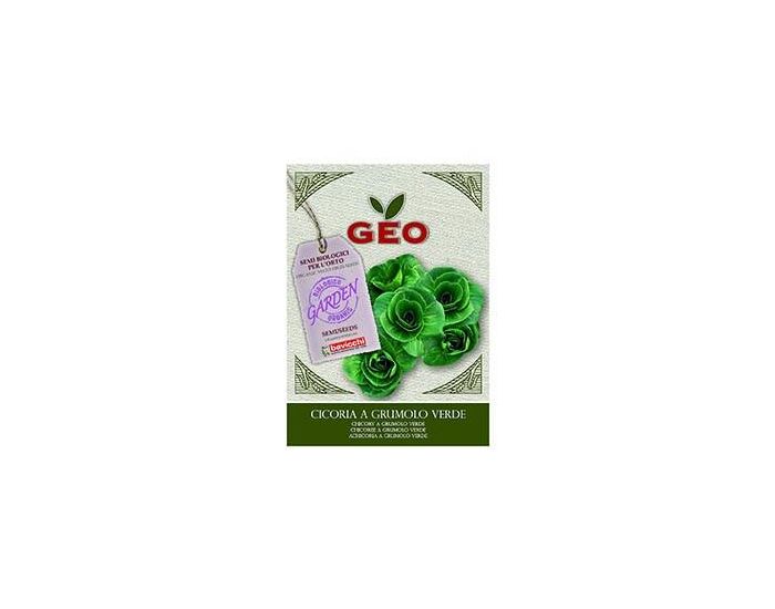 GEO Semences pour Chicore  Grumulo Verde Bio - 6g