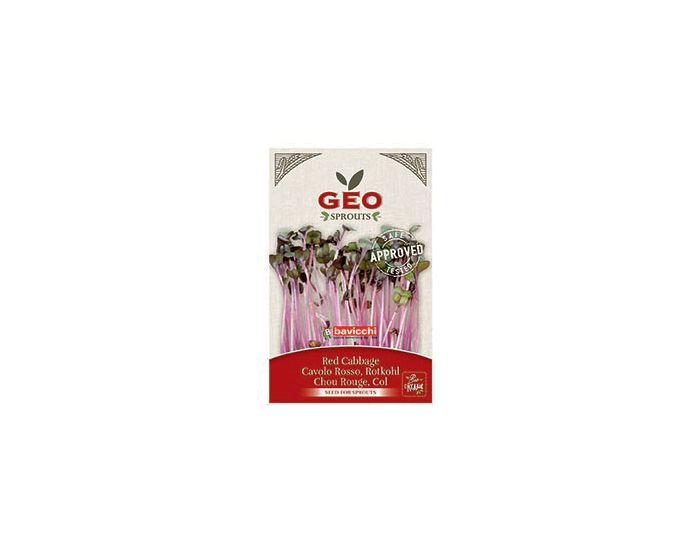 GEO Chou Rouge - Graines  germer bio