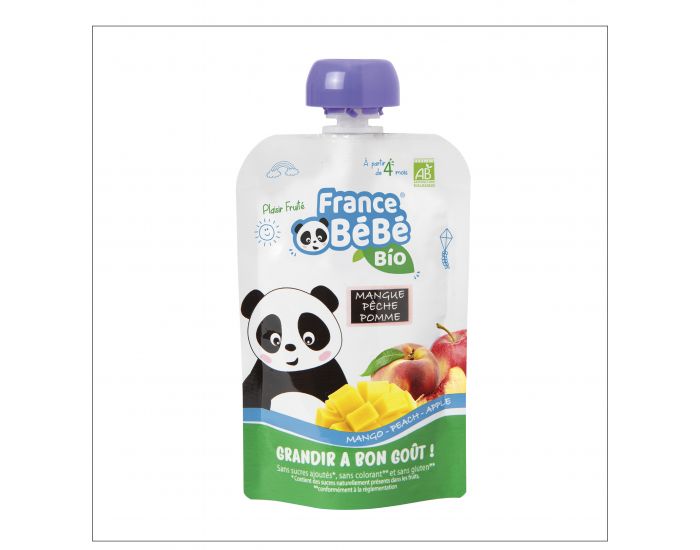 FRANCE BB BIO Pack 10 Gourdes De Pure De Fruits - Mangue Pche Pomme - Ds 4 mois - 10x100g