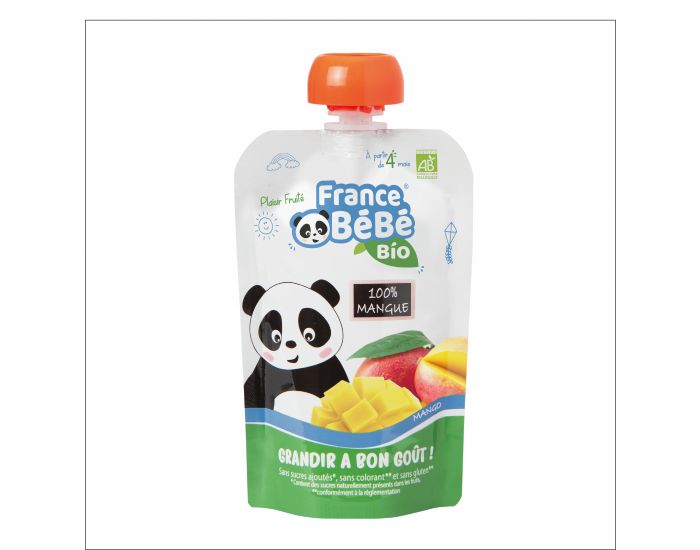 FRANCE BB BIO Pack 10 Gourdes De Pure De Fruits - 100% Mangue - Ds 4 mois - 10x100g