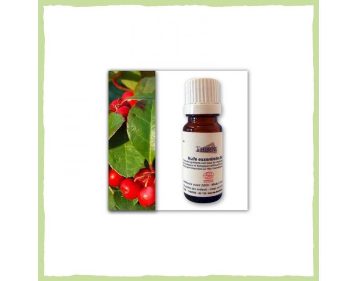 THIBENE Huile Essentielle de Gaulth�rie Wintergreen Bio 10ml