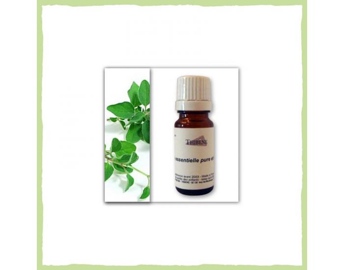 THIBENE Huile Essentielle De Marjolaine � Coquilles 10 ml