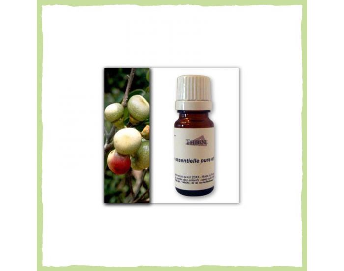 THIBENE Huile Essentielle Verveine Exotique (Litsea Cubeba) Bio 10 ml