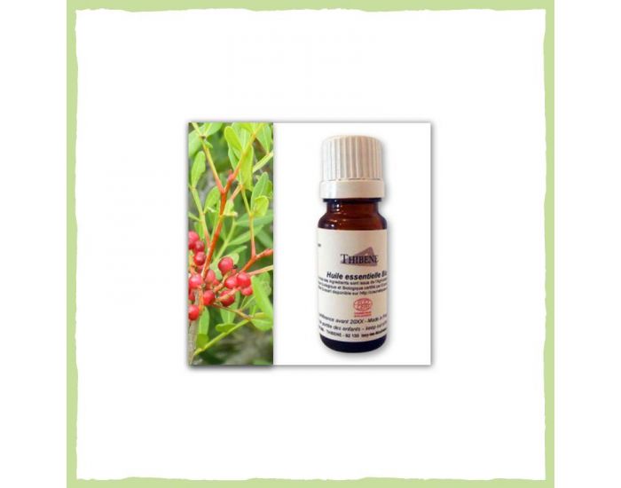 THIBENE Huile Essentielle de Lentisque Pistachier Bio 5 ml