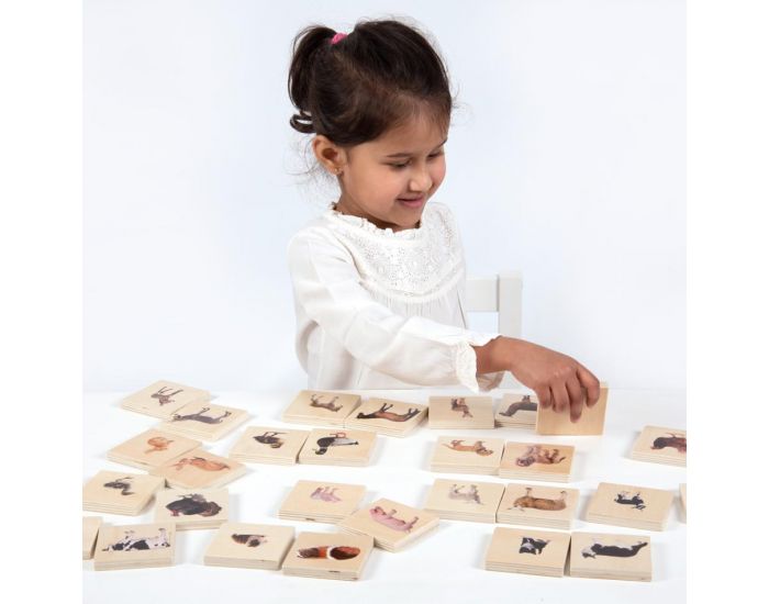 TICKIT Memory Animaux Domestiques - D�s 12 Mois