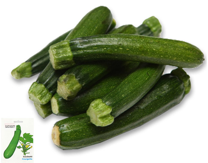 Courgette Black Beauty