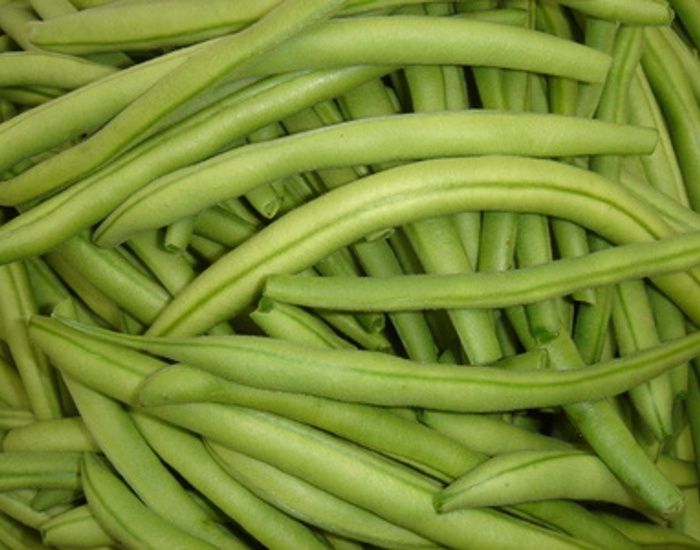 Haricot � Rame - Neckark�nigin