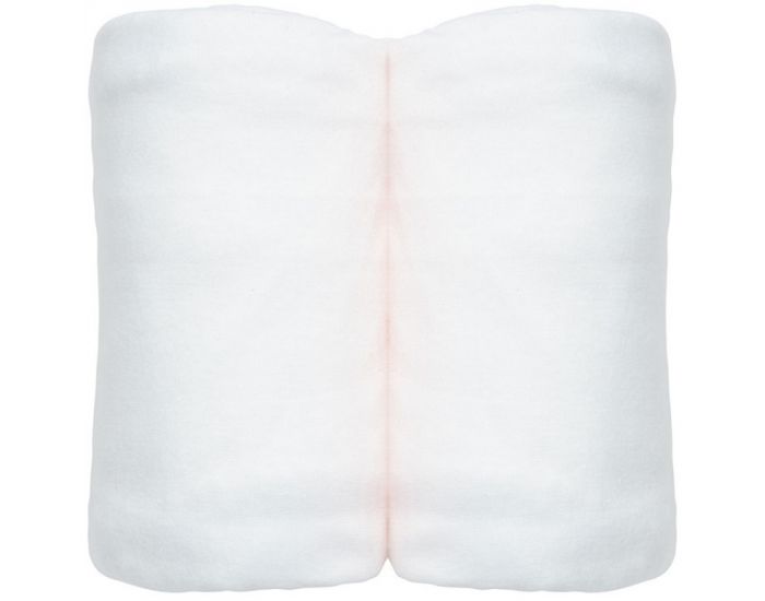 EVEIL ET NATURE Lot de 2 Draps Housses Coton Bio - 70x140 cm