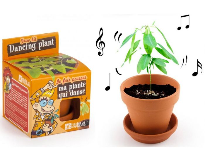 RADIS ET CAPUCINE Je fais pousser ma Plante qui danse