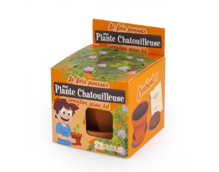 RADIS ET CAPUCINE Je fais pousser mon Mimosa pudica