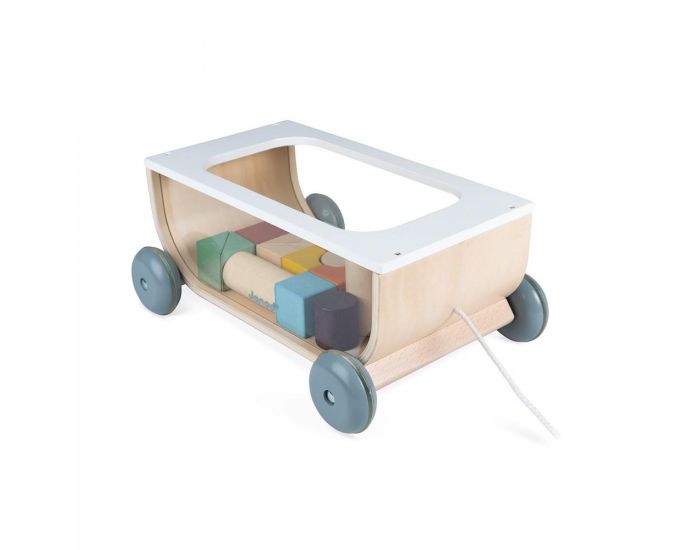 JANOD Chariot de Cubes Sweet Cocoon - D�s 1 an