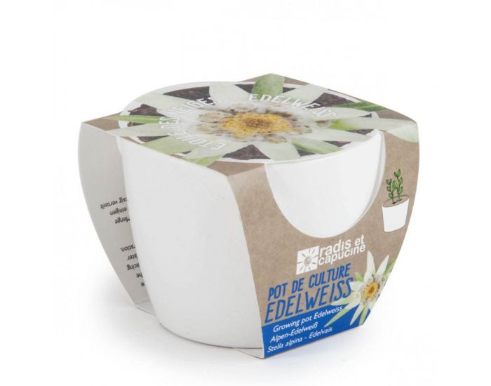 RADIS ET CAPUCINE Pot Cramique Blanc 8 cm - Edelweiss