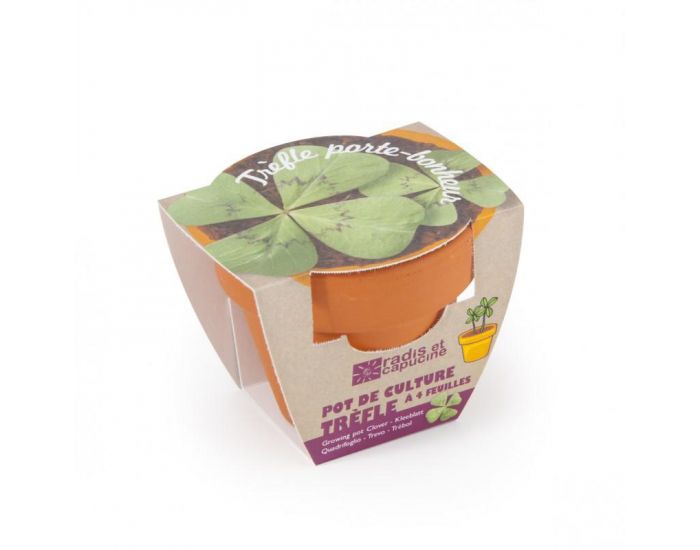 RADIS ET CAPUCINE Tr�fle � 4 feuilles en pot de culture