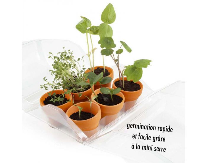 RADIS ET CAPUCINE Mini Serre plastique recycl�- Mon premier Jardin