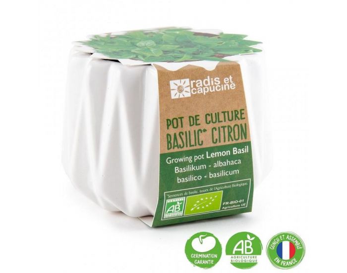 RADIS ET CAPUCINE Pot Origami Petit Mod�le Basilic Citron Bio � Semer