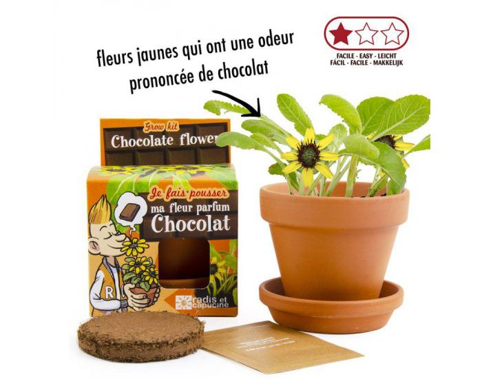 RADIS ET CAPUCINE Plante Chocolat - Pot 8 cm