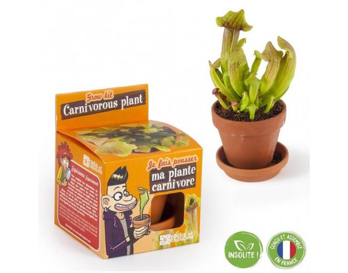 RADIS ET CAPUCINE Graines de Plantes Carnivores � Faire Pousser - Pot 8 cm