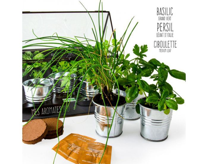 RADIS ET CAPUCINE Serre pour semer vos plantes aromatiques bio.