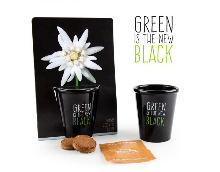 RADIS ET CAPUCINE Pot Black Graines d'Edelweiss � Semer