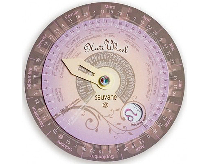 NATIWHEEL Disque de Grossesse Pastel
