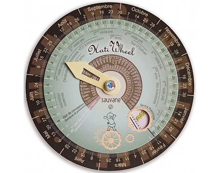 NATIWHEEL Disque de Grossesse Mixte