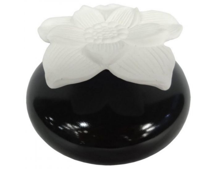 ZEN'AR�ME Diffuseur par Capillarit� Narcisse - Noir