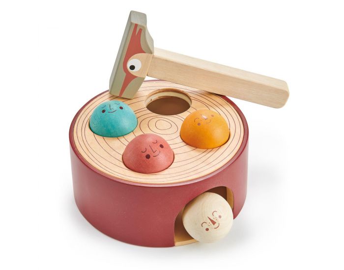 TENDER LEAF TOYS Jeu de Woodpecker - D�s 18 mois