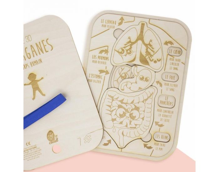 CUT CUT CUT CODET Puzzle 3D en bois - Les organes - D�s 8 ans 