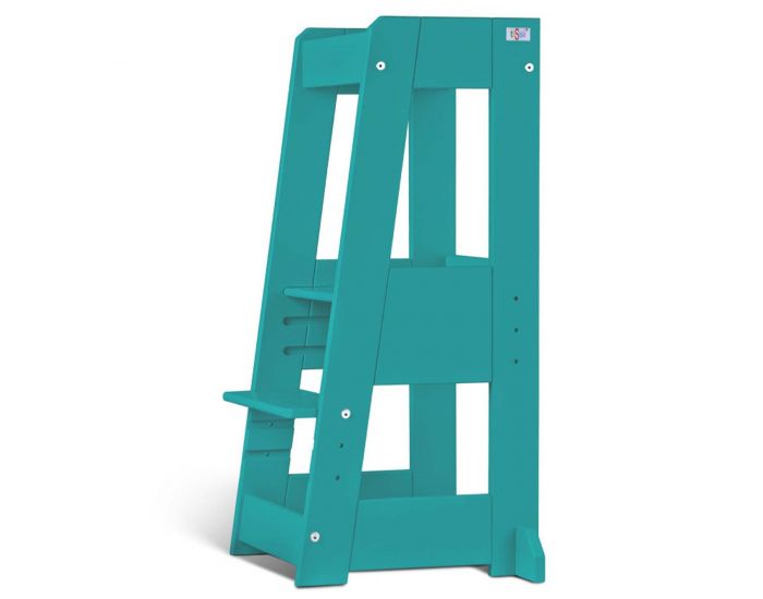 TISSI Tour d'Observation volutive - FELIX - Ds 12 mois