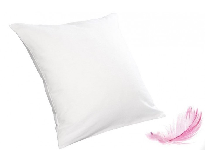 KADOLIS Oreiller Junior en Duvet de Plume 60x60 cm