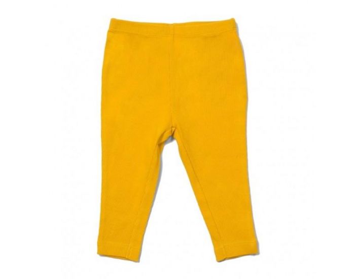 LITTLE GREEN RADICALS Legging B�b� en Coton Bio - Jaune Ocre