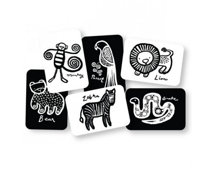 WEE GALLERY Cartes imagier animaux - Jungle