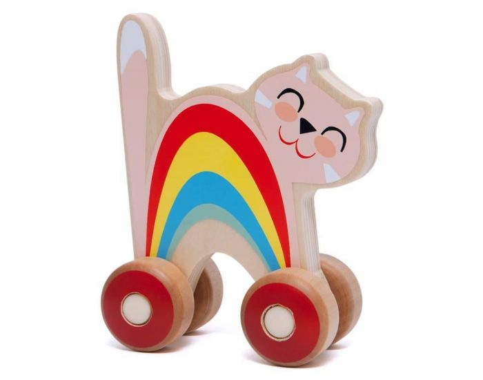 PETIT MONKEY Chat Arc-en-Ciel � Pousser - Petit Monkey - D�s 12 mois