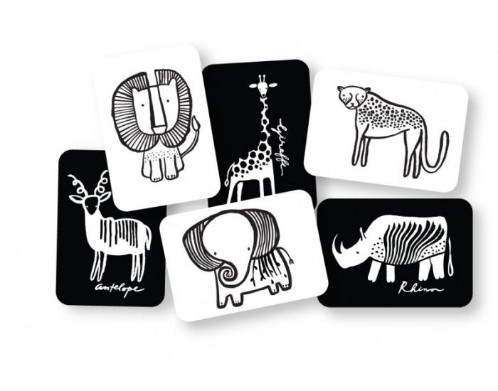 WEE GALLERY Cartes imagier animaux - Safari