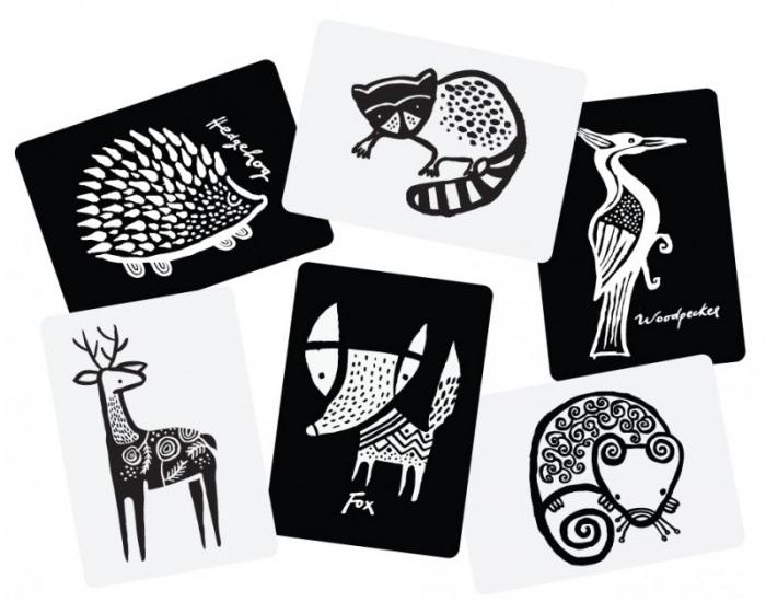 WEE GALLERY Cartes imagier animaux - Animaux de la For�t