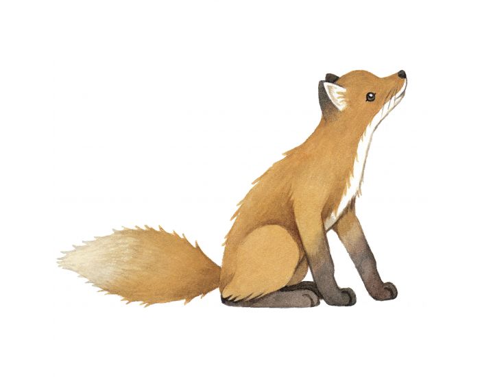 LILIPINSO Sticker XL le Renard