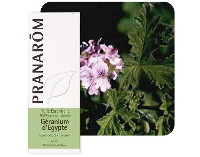 PRANAROM G�ranium d'Egypte - 10 ml