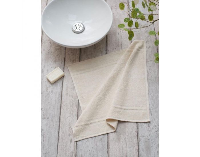 CENTEX Carr� Eponge Bio